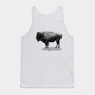 European bison Tank Top